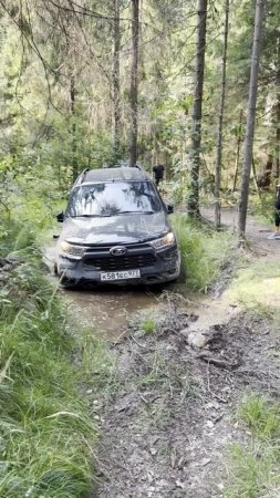 Снова отважная Нивонька Лягуха в вашей ленте ☺️🩵🐸