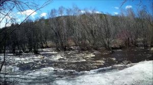 Поход по майской Никишихе
