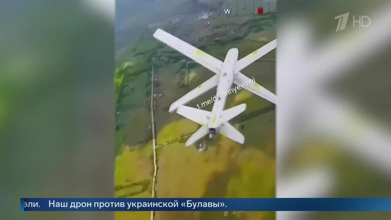 Воздушная дуэль российского дрона с украинской "Булавой" попала на видео