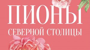 ПИОНЫ СЕВЕРНОЙ СТОЛИЦЫ