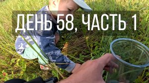 День 58, часть 1