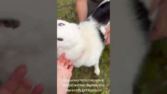 05-07-2025 якуты поехали в новую жизнь!