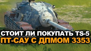 Медленная и неповоротливая но с ДПМом - брать TS-5? | Tanks Blitz
