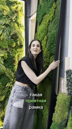 Картины, панно из мха и растений для дома