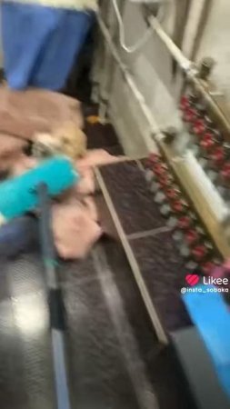 1000002821.mp4
