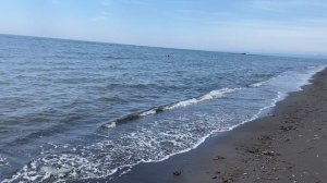 05.07.2025г. Сахалин, Анивский район. Выбрались на море.