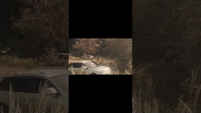 1000041389.mp4