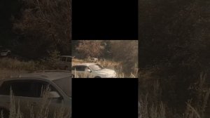 1000041389.mp4
