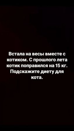 А котик об этом знает)