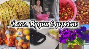 ЗАГОТОВКИ НА ЗИМУ🫙РЕЦЕПТ ИЗ КАБАЧКОВ🧇ОГОРОДНЫЕ ПРЕЛЕСТИ🌽
