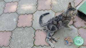 Ползал два дня, пока не равнодушная женщина не увидела его