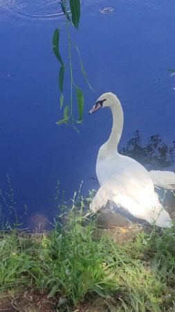 Ему нужна помощь 05.07.25.
