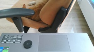 Rapoo C500AF - видео 1440p