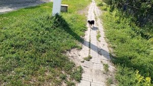 Смотри на меня хотя бы!