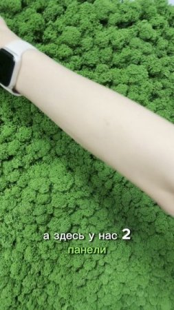 Панели со стабилизированным мхом