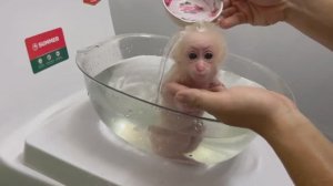 Обезьянка малютка в лесу сама на руки Купают Поят молоком из соски Милота