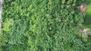 Жизнь страшнее любой выдумки. Страшные. Мистические. Творческие истории. Хоррор