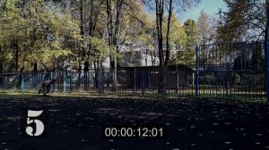 Челночный бег 10х10
