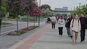 Весна 2024 года в Новосибирске