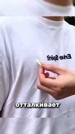 Китайцы придумали гениальные стикеры от каморок и насекомых