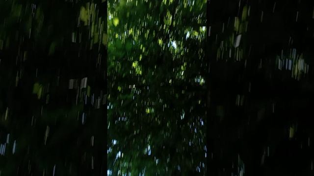 1000006191.mp4