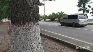 1000129489.mp4