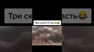 три кота ржака 🤣🤣🤣🤣