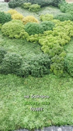 Панно из стабилизированного мха разной фактуры и цветовой гаммы