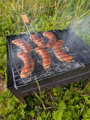 Мясо между панельками: шашлык в стиле Мурино купаты