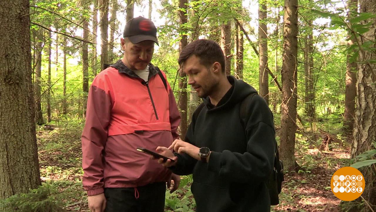 Как не заблудиться в лесу. Доброе утро. Суббота. Фрагмент выпуска от 05.07.2025