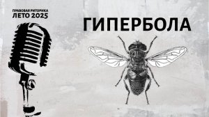 Гипербола (преувеличение)