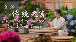 Yuxi Aged Fermented Broad Bean Sauce