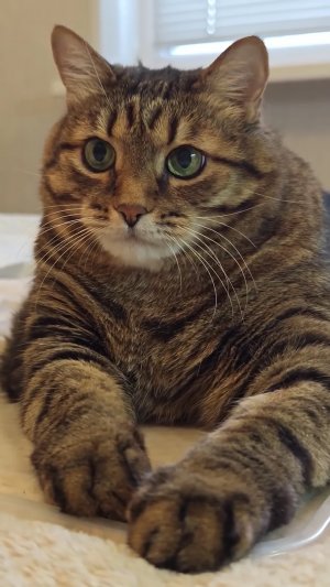 Уходить не хочется 🙀🤔😉😻❤👍🚀👇