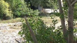 где находится речка Аше река Аше Краснодарский край река аше в лазаревском