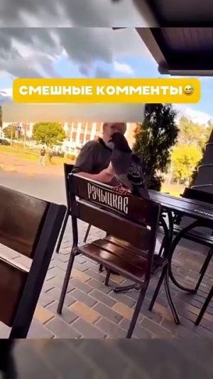 СМЕШНЫЕ КОММЕНТЫ Ч 6😂😂😂