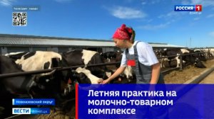 Летняя практика на молочно-товарном комплексе