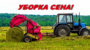 МТЗ-892.2 и МТЗ-82.1 на уборке и погрузке сена. А мы как обычно на вывозке.