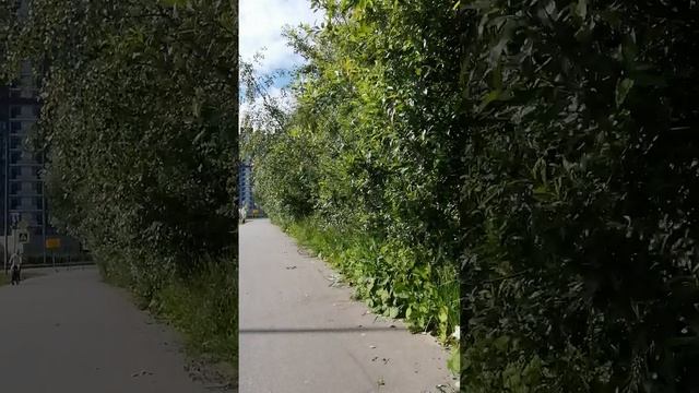 Тьмы сильнее твой тотем