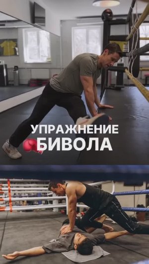 🥊Упражнение Бивола