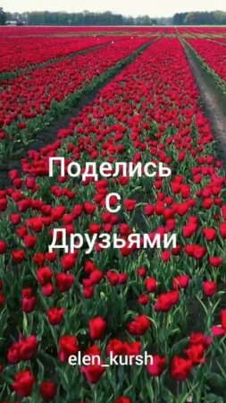 день14. Подписывайся на аккаунт И стань лучшей версией себя ❤️