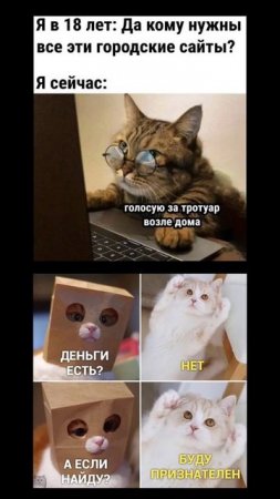 Новые мемы