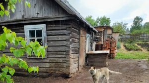 Баньку старую снесли...