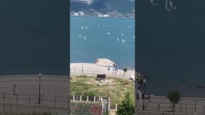 Парусная регата