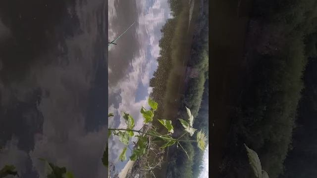 Рыбалка на спиннинг