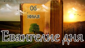Апостол, Евангелие и Святые дня. Владимирской иконы Божией Матери. (06.07.25)