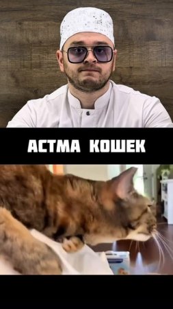 Ссылка на урок в описании