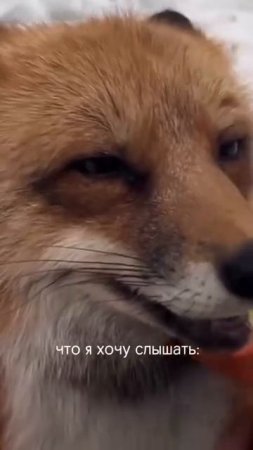 Так оно и есть ❤