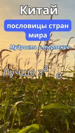 #2 Пословицы