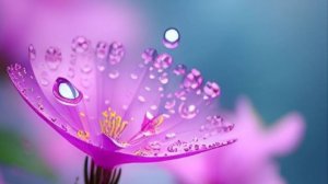 Красивые пожелания доброго дня 🙂 НОВИНКА