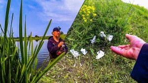 ЩУКА ПОНЕМНОГУ КЛЮЕТ. ГДЕ РЫБАЧАТ ТАМ И СРУТ. ДЕНЬ РОССИИ. РЫБАЛКА В ЗАБРОДКУ НА КЛЯЗЬМЕ.